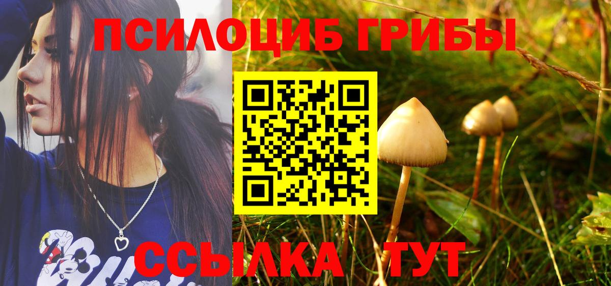 Псилоцибиновые грибы Magic Shrooms  Вход с VPN  Лиски  Галлюциногенные грибы мицелий 